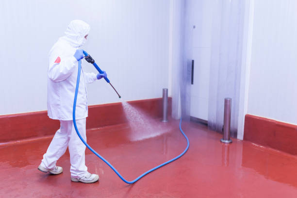 Best Sidewalk and Walkway Cleaning  in Grass Valley, CA